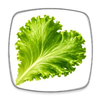 Salatblatt in Herzform Illustration  - Viereckiger Kühlschrankmagnet - Weiß - Vorne
