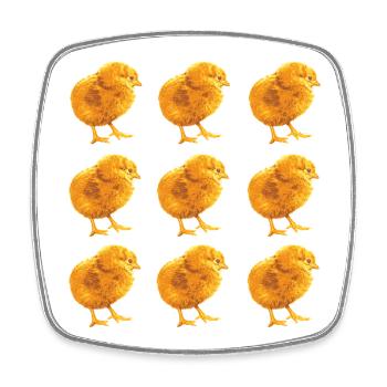 Chickens Fans - - Rooster - Chicks - Square fridge magnet - white - Front