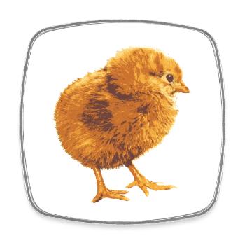 Fans de poulets - - Coq - Poussins - Magnet carré - blanc - Devant