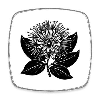 Lehua-Blume - Viereckiger Kühlschrankmagnet - Weiß - Vorne