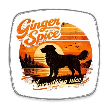 Toller Retro 70s: Ginger Spice & Everything Nice - Viereckiger Kühlschrankmagnet - Weiß - Vorne