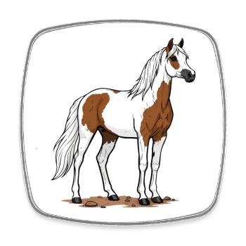 Brown and White Piebald Horse Equestrian Elegance - Square fridge magnet - white - Front