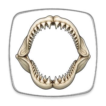Shark Denture Motif Ocean Diving Sea Life - Square fridge magnet - white - Front