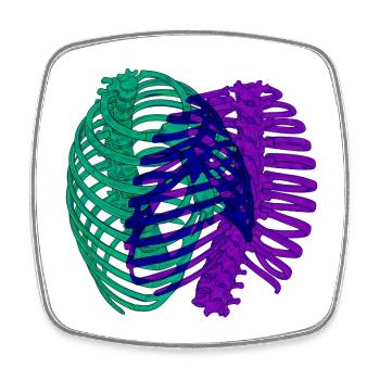 Dual chromatic ribcage - Square fridge magnet - white - Front