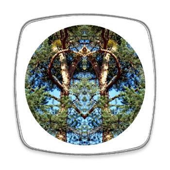 Cœur du Mandala de la Nature dans l’Arbre - Magnet carré - blanc - Devant