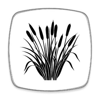 Cattail - Square fridge magnet - white - Front