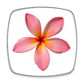 Plumeria Temple Flower - Square fridge magnet - white - Front