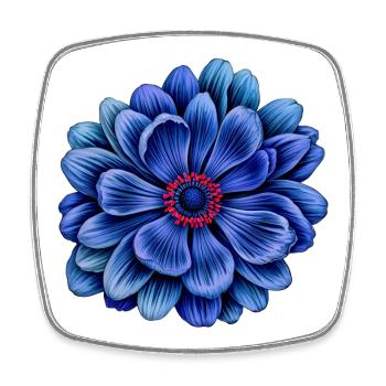 Blaue blüte mit roter Mitte anemone - Viereckiger Kühlschrankmagnet - Weiß - Vorne