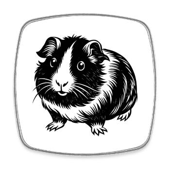 Meerschweinchen - Viereckiger Kühlschrankmagnet - Weiß - Vorne