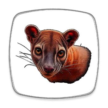 Fossa head, animal motifs - Square fridge magnet - white - Front