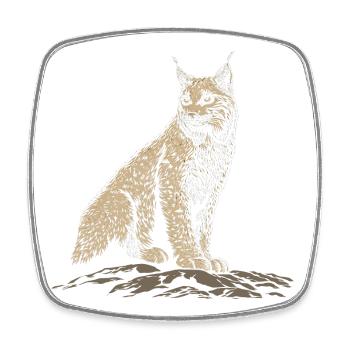 Lynx Rock Portrait Wildcat Nature - Square fridge magnet - white - Front