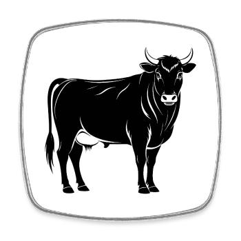 Angus bull - Square fridge magnet - white - Front