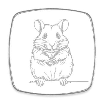 Hamster mignon - Magnet carré - blanc - Devant