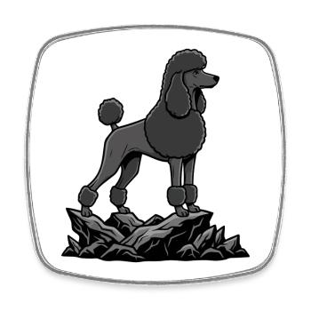 Schwarzer Pudelhund auf Felsen – elegantes Porträt - Viereckiger Kühlschrankmagnet - Weiß - Vorne
