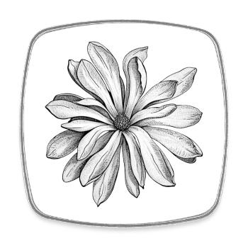 sternmagnolien, Monochrome Blüten - Viereckiger Kühlschrankmagnet - Weiß - Vorne