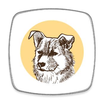 Dog - Square fridge magnet - white - Front