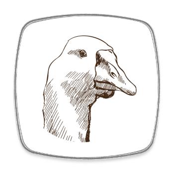 Gans - Viereckiger Kühlschrankmagnet - Weiß - Vorne