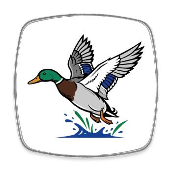 Canard Colvert en Vol Nature Sauvage Étang - Magnet carré - blanc - Devant