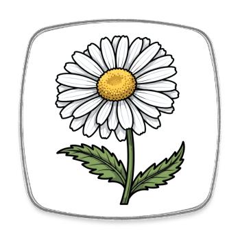 daisy - Square fridge magnet - white - Front