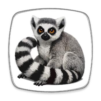 Ring-tailed lemur illustration - Square fridge magnet - white - Front