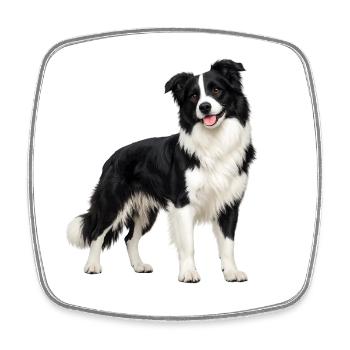 Black and White Border Collie - Square fridge magnet - white - Front