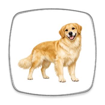 Golden Retriever lächelt - Viereckiger Kühlschrankmagnet - Weiß - Vorne