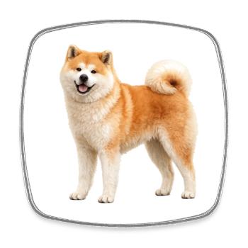 Akita Inu ore - Square fridge magnet - white - Front