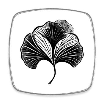 Ginkgo Leaf - Square fridge magnet - white - Front