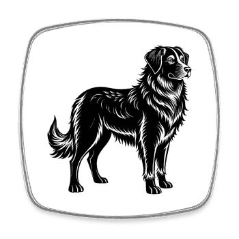 Chien Hovawart - Magnet carré - blanc - Devant