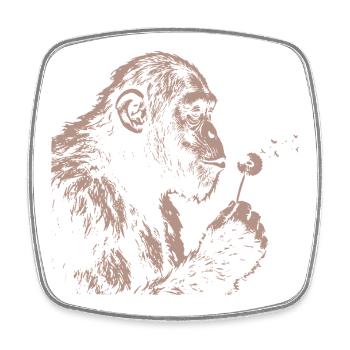  Chimpanzee Blowing Dandelion Art Monkey Nature - Viereckiger Kühlschrankmagnet - Weiß - Vorne