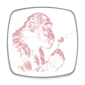  Chimpanzee Blowing Dandelion Art Monkey Nature - Viereckiger Kühlschrankmagnet - Weiß - Vorne