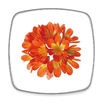 Leuchtend orangefarbene Clivia-Botanische Blumenblüte - Viereckiger Kühlschrankmagnet - Weiß - Vorne