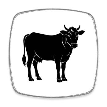 Cow - Square fridge magnet - white - Front
