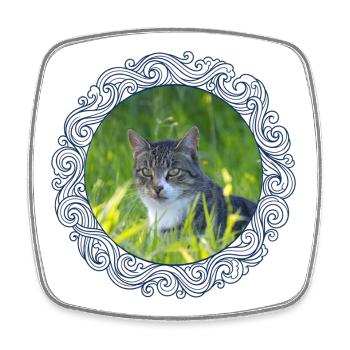 Cats, tomcats, outdoor cats - Square fridge magnet - white - Front