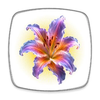 Leuchtende Lilie Florales Kunstmotiv - Viereckiger Kühlschrankmagnet - Weiß - Vorne