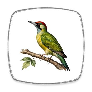 Grüner Specht — Vintage-ornithologische Illustration - Viereckiger Kühlschrankmagnet - Weiß - Vorne