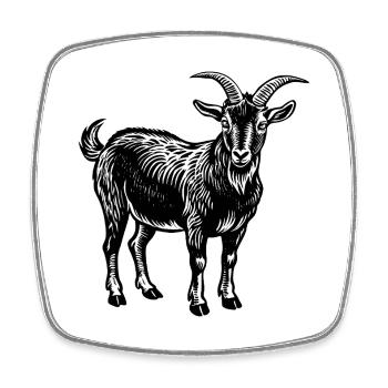 goat - Square fridge magnet - white - Front