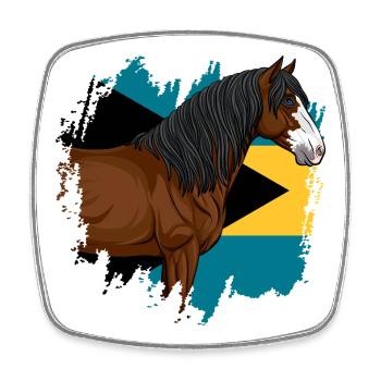 The head of the Abaco horse and the flag of the Bahamas - Square fridge magnet - white - Front