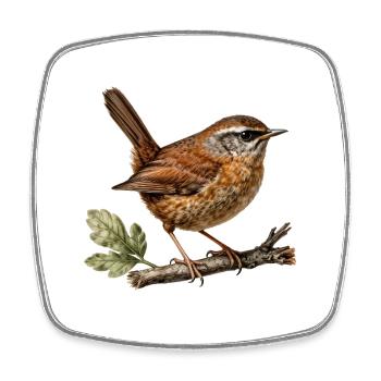 Wren — ornithologische Illustration - Viereckiger Kühlschrankmagnet - Weiß - Vorne