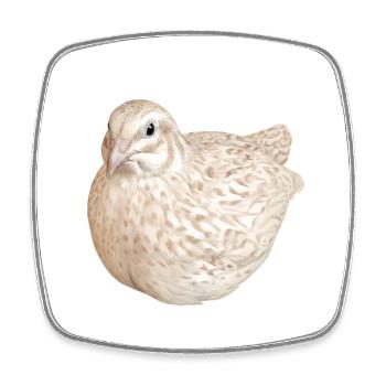 Cinnamon Spotted Quail Nature Illustration - Square fridge magnet - white - Front