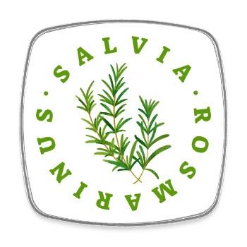 Rosemary Circular Botanical Emblem - Square fridge magnet - white - Front