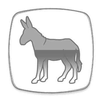 donkey - Square fridge magnet - white - Front