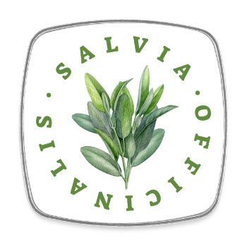 Salvia Officinalis (Sage) Leaves Emblem - Square fridge magnet - white - Front
