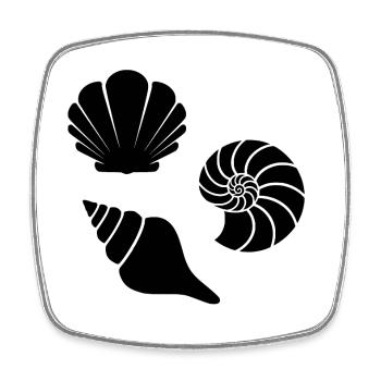 Seashells - Square fridge magnet - white - Front