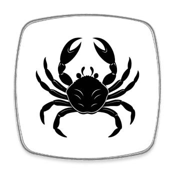 Crabe - Magnet carré - blanc - Devant