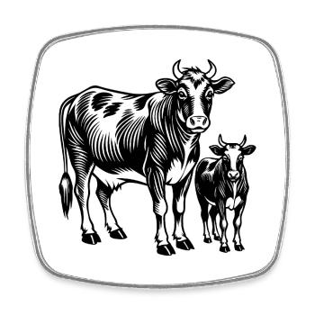 Cow and calf - Square fridge magnet - white - Front