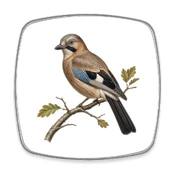 Vintage-Eichenhäher, ornithologische Illustration - Viereckiger Kühlschrankmagnet - Weiß - Vorne
