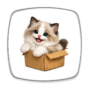 Happy kitten is in box - Square fridge magnet - white - Front