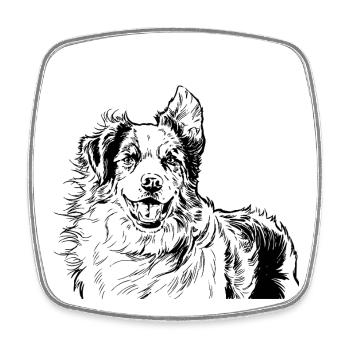 Australian Shepherd - Square fridge magnet - white - Front