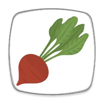 Beetroot Botanical Art - Square fridge magnet - white - Front